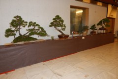 DSCN1241