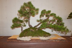 DSCN1242