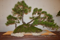DSCN1243