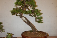 DSCN1244