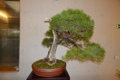 DSCN1245