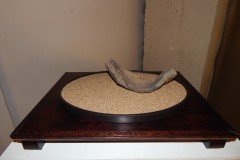 DSCN1251