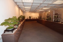 DSCN1253
