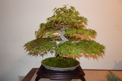 DSCN1255
