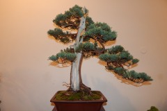 DSCN1257