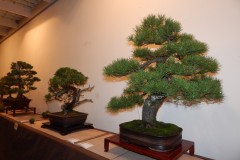 DSCN1258