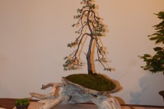 DSCN1259