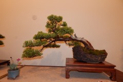 DSCN1260