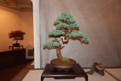 DSCN1261