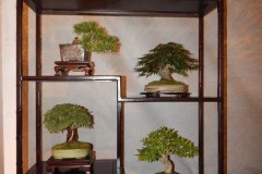 DSCN1264