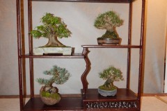 DSCN1265