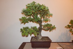 DSCN1267