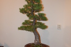 DSCN1269