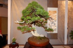 DSCN1271