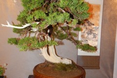 DSCN1272