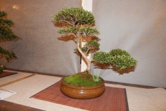 DSCN1274