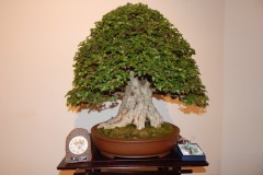 DSCN1276