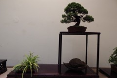 DSCN1278