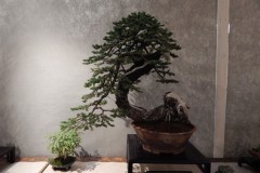 DSCN1281
