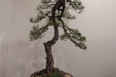 DSCN1282