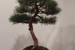 DSCN1283