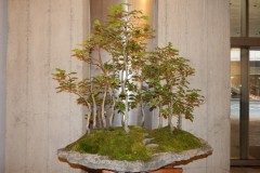 DSCN1292