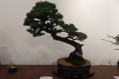 DSCN1293