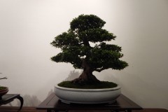 DSCN1294