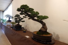 DSCN1295