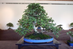 DSCN1296