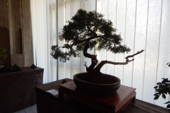 DSCN1299