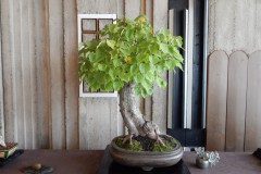 DSCN1300