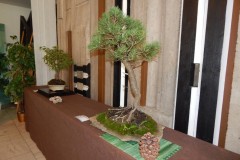 DSCN1301