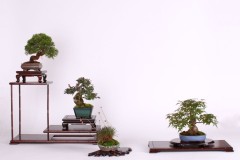 Rene-Lempel-Kolekcia-shohin-Cena-za-kolekciu-shohin