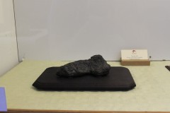 Vladimir-Kamocsai-Toyama-ishi-2.-miesto