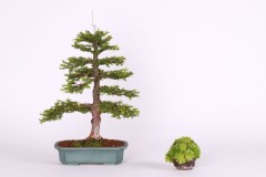 Ladislav-Gembes-Tis-obycajny-IMG_9434