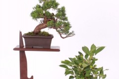 Magdalena-hojstricova-shohin-kolekcia-IMG_9566