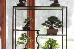 Richard-Lenar-shohin-regal