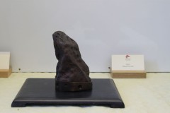 Eduard-Novotny-Bralo-IMG_9677