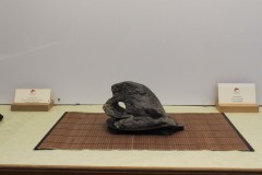 Lubos-Spalek-Chobotnica-IMG_9683