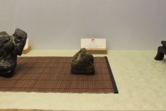 Viera-Hosjtricova-Zapasnik-sumo-IMG_9697