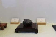 Viliam-Kovac-Korytnacka-IMG_9673