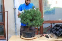 thumbs_IMG_9343