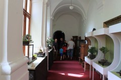 IMG_9807