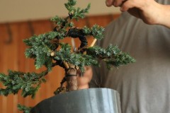 IMG_9824