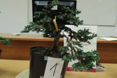 zDSCN4303