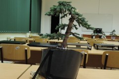 zDSCN4306