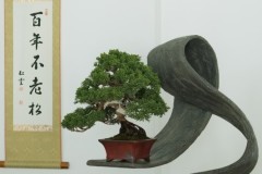 DSF1138