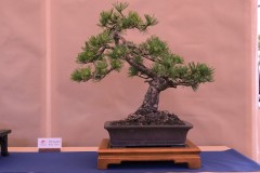 DSF1358