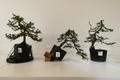 IMG_20220528_205616